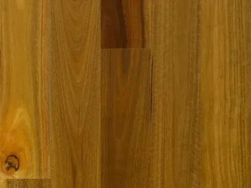 Spotted Gum Timber Flooring Smooth Matte