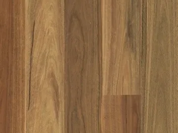 Spotted Gum Wideboard Timber Flooring Smooth Matte